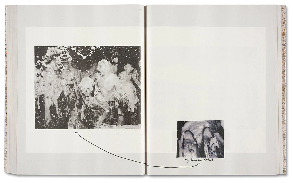Gathered Leaves Annotated - Alec Soth
