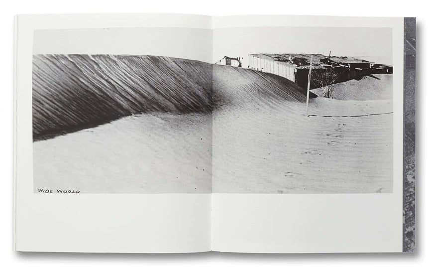 David Campany - Handful of Dust