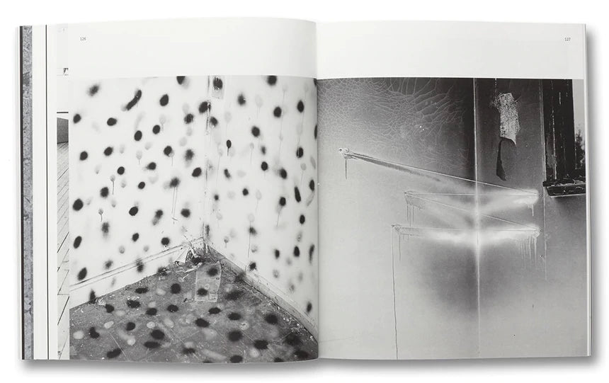 David Campany - Handful of Dust