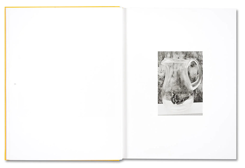 Talia Chetrit: JOKE