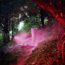 John Divola - Chroma