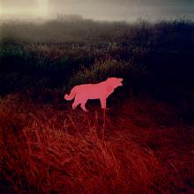 John Divola - Chroma