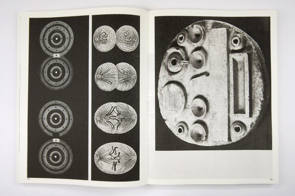 Batia Suter - Radial Grammar