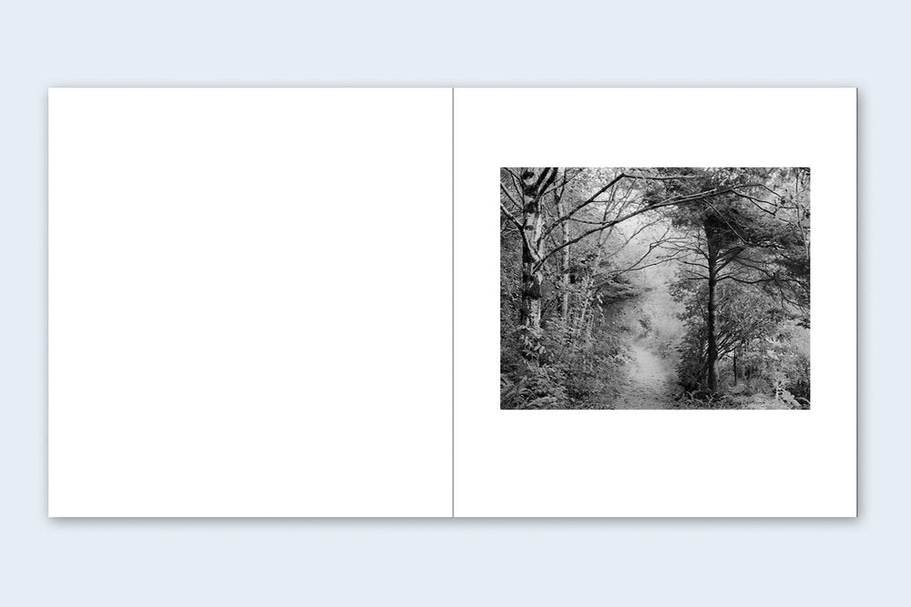 Richard Rothman - Redwood Saw