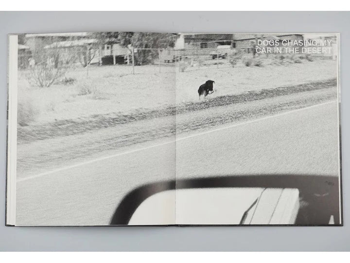 Scapes - John Divola