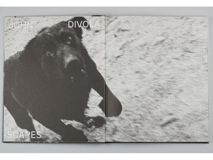 Scapes - John Divola