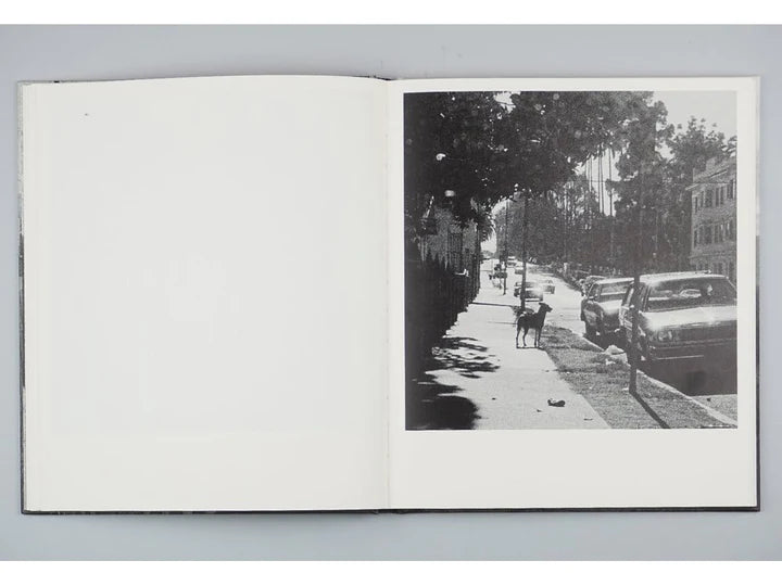 Scapes - John Divola