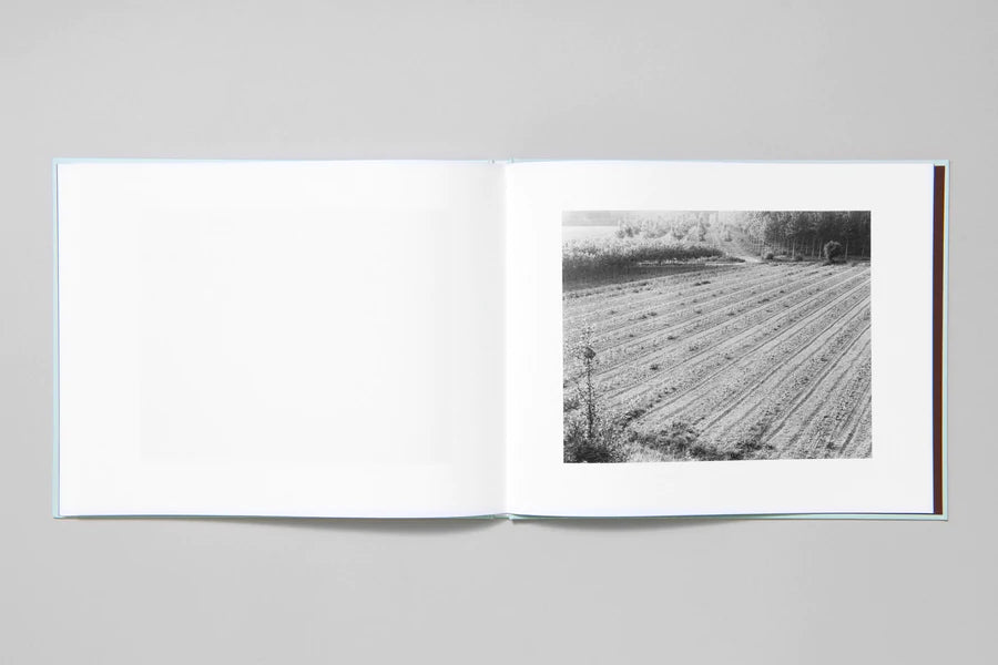 LUZZARA - Stephen Shore