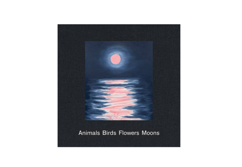 Animals Birds Flowers Moon - Ann Craven