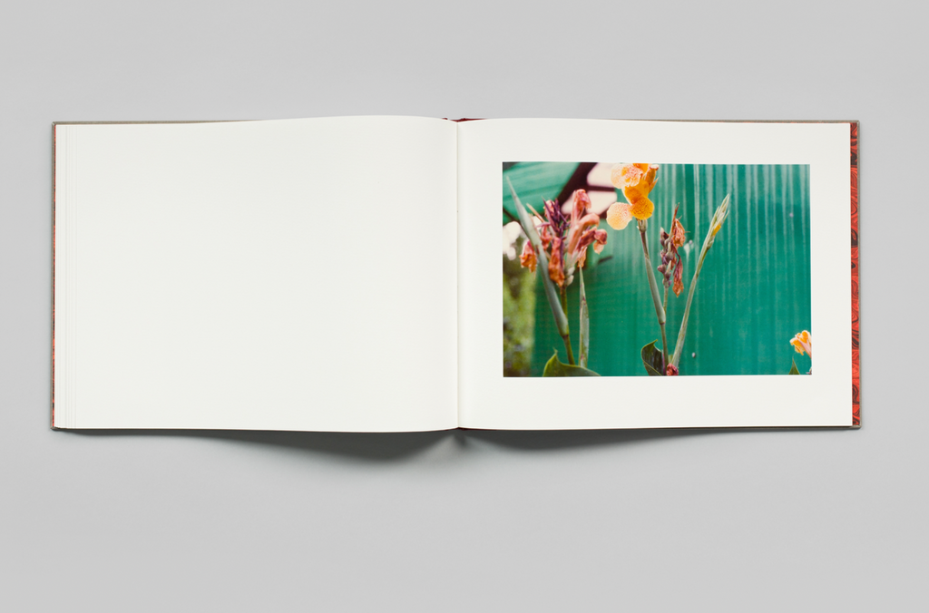 William Eggleston: Flowers