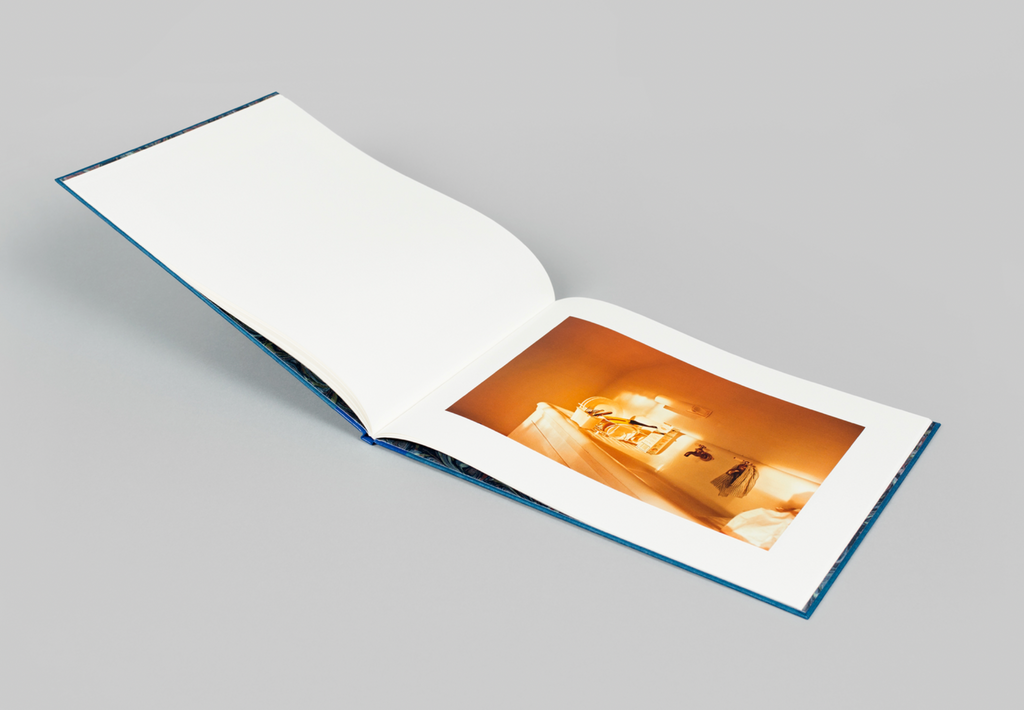 William Eggleston: Morals of Visions