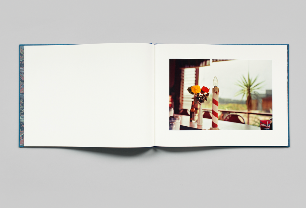 William Eggleston: Morals of Visions