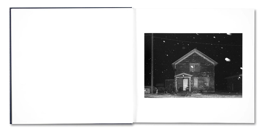 Alessandra Sanguinetti: Some Say Ice