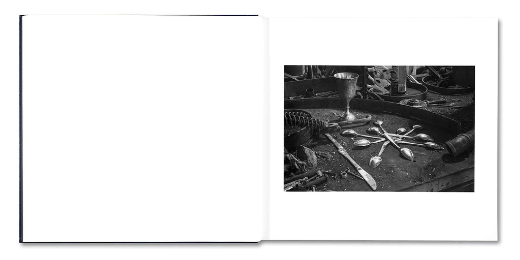 Alessandra Sanguinetti: Some Say Ice