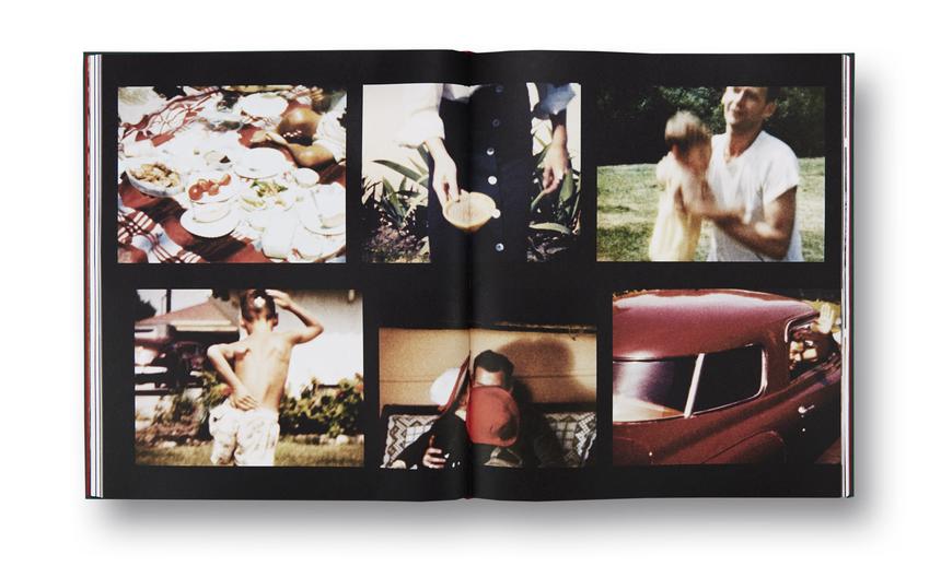 Larry Sultan - Pictures From Home