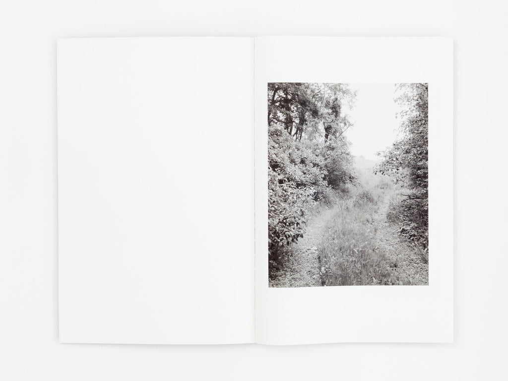 Entrance to Our Valley - Janie Friedland