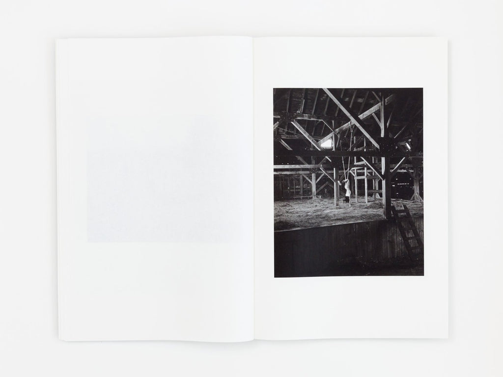 Entrance to Our Valley - Janie Friedland