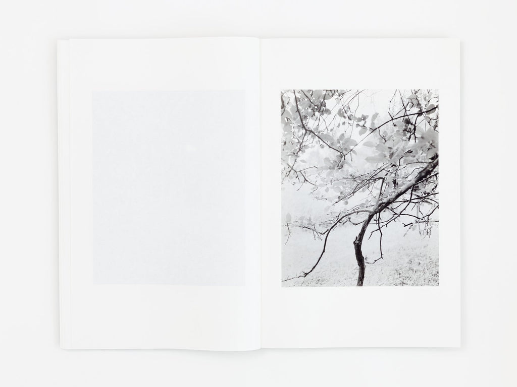 Entrance to Our Valley - Janie Friedland