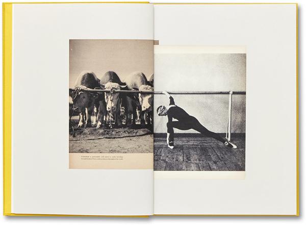 Handbook of the Spontaneous Other - Aikaterini Gegisian