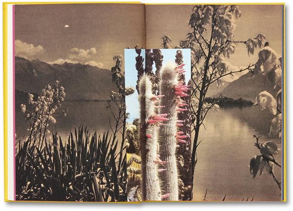 Handbook of the Spontaneous Other - Aikaterini Gegisian