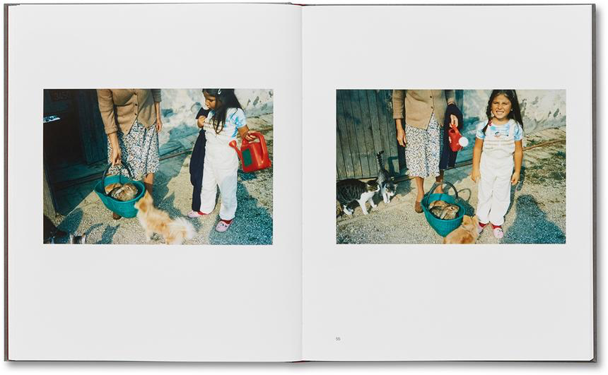 Tra l'altro, 1976-81 - Guido Guidi *Signed