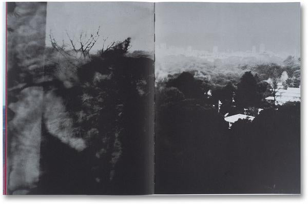 The Narcissistic City - Takashi Homma
