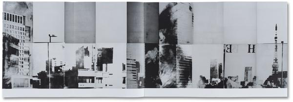 The Narcissistic City - Takashi Homma