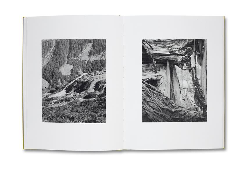 NATUR - Michael Schmidt