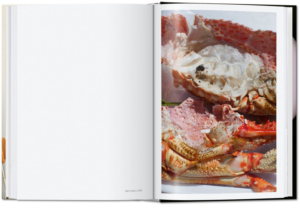 Wolfgang Tillmans - four books. 40th Ed.