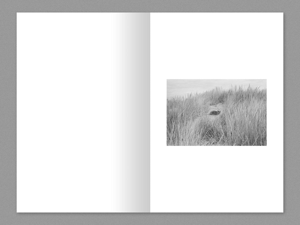 Sasha Arutyunova - Shelter