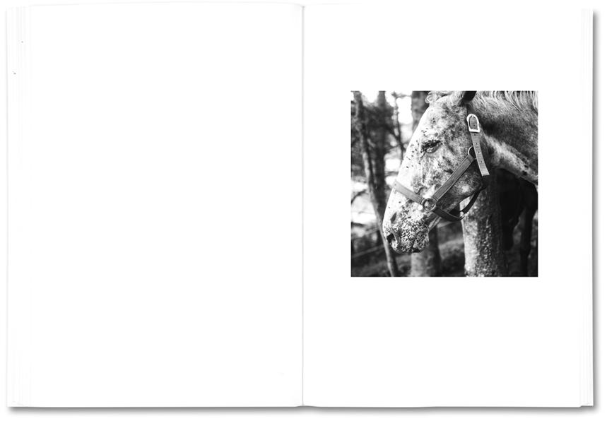 The Shabbiness of Beauty - Moyra Davey & Peter Hujar