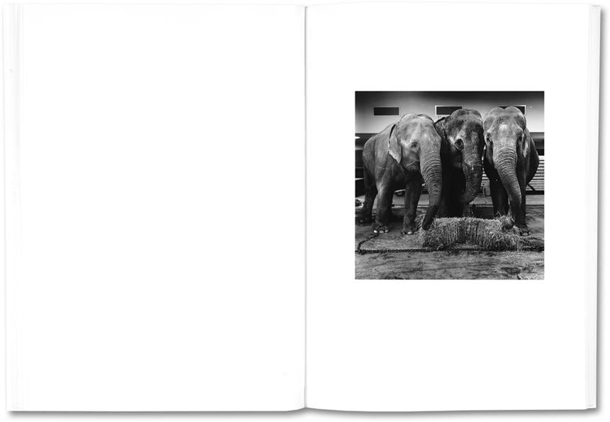 The Shabbiness of Beauty - Moyra Davey & Peter Hujar