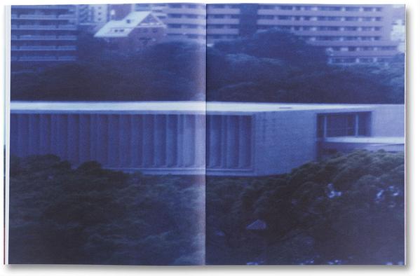 The Narcissistic City - Takashi Homma