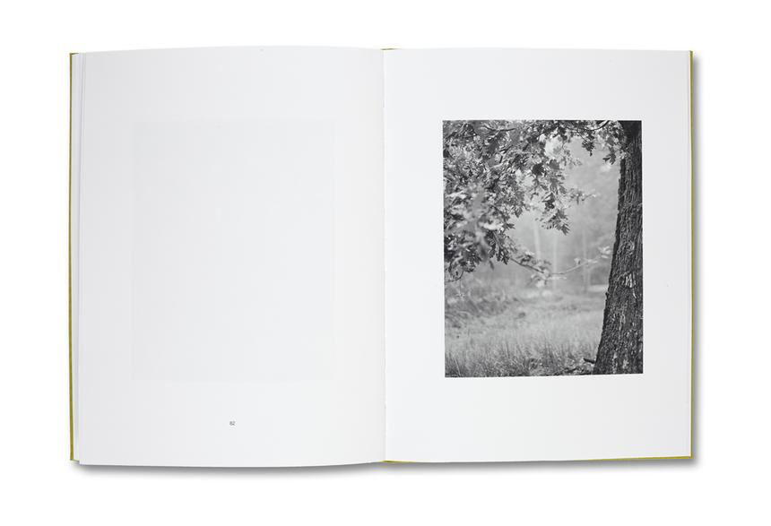 NATUR - Michael Schmidt