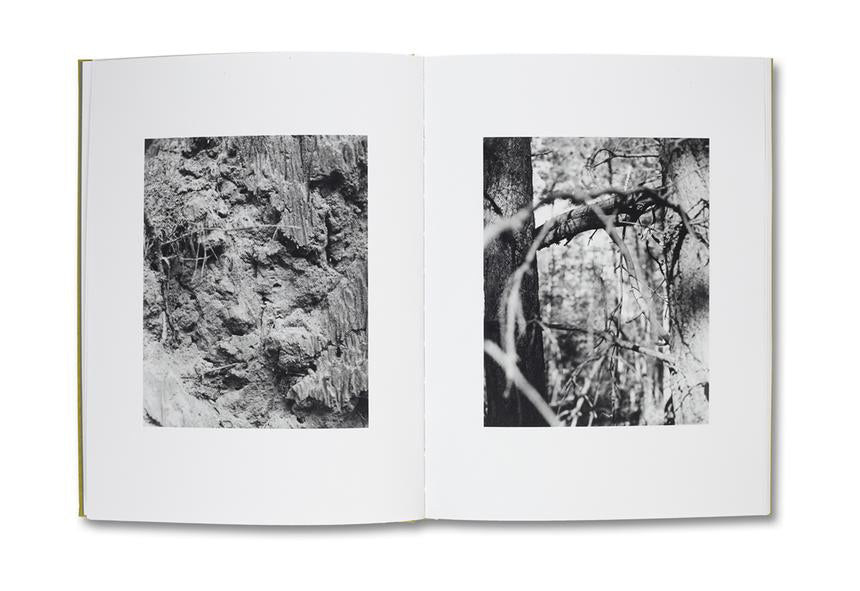 NATUR - Michael Schmidt