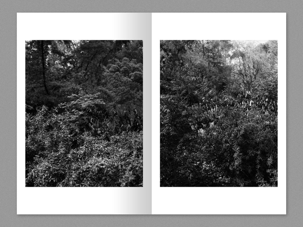 Tim Carpenter - A Month of Sundays