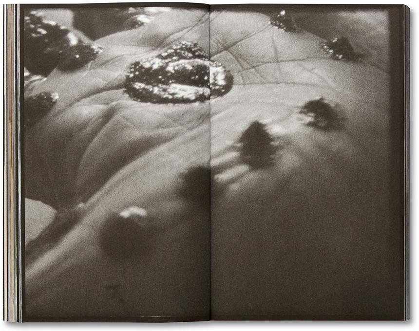 La Bête A Modern Tale - Yasmina Benabderrahmane *Signed