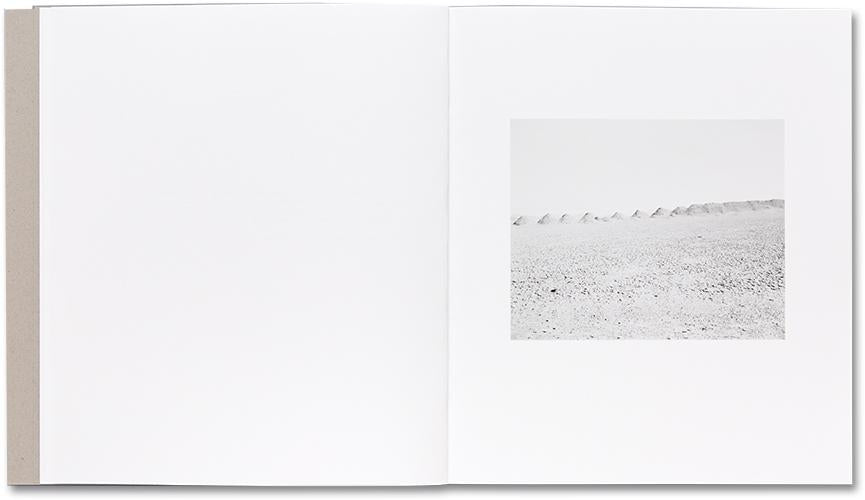 Domesticated Land - Susan Lipper *Signed