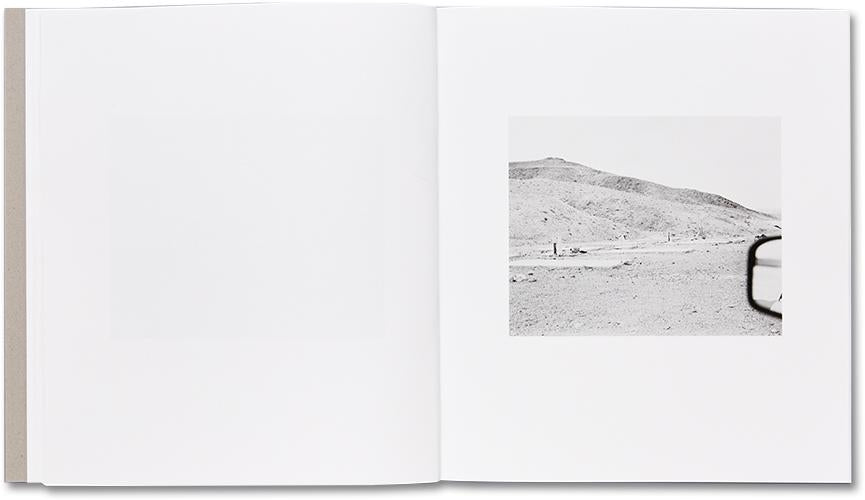 Domesticated Land - Susan Lipper *Signed