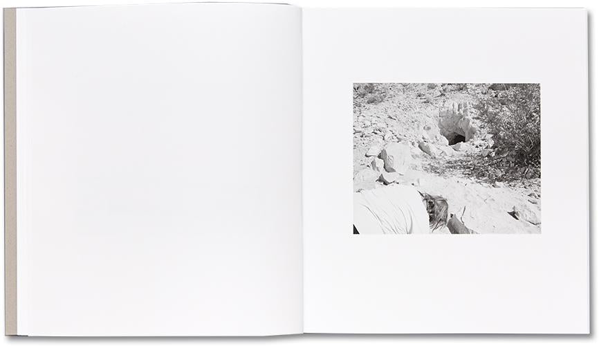 Domesticated Land - Susan Lipper *Signed