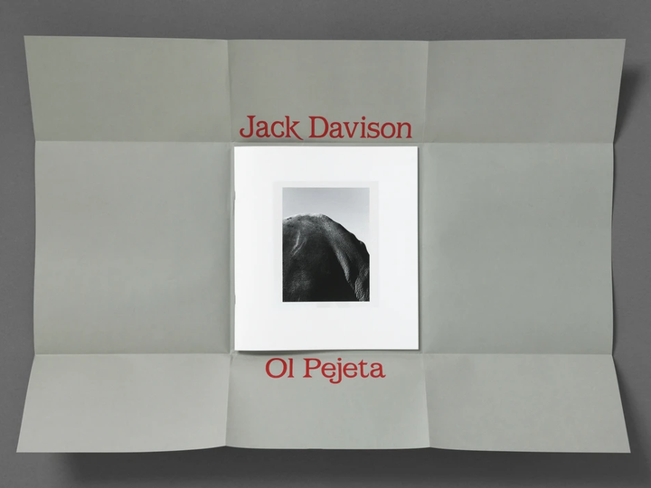 Ol Pejeta by Jack Davison