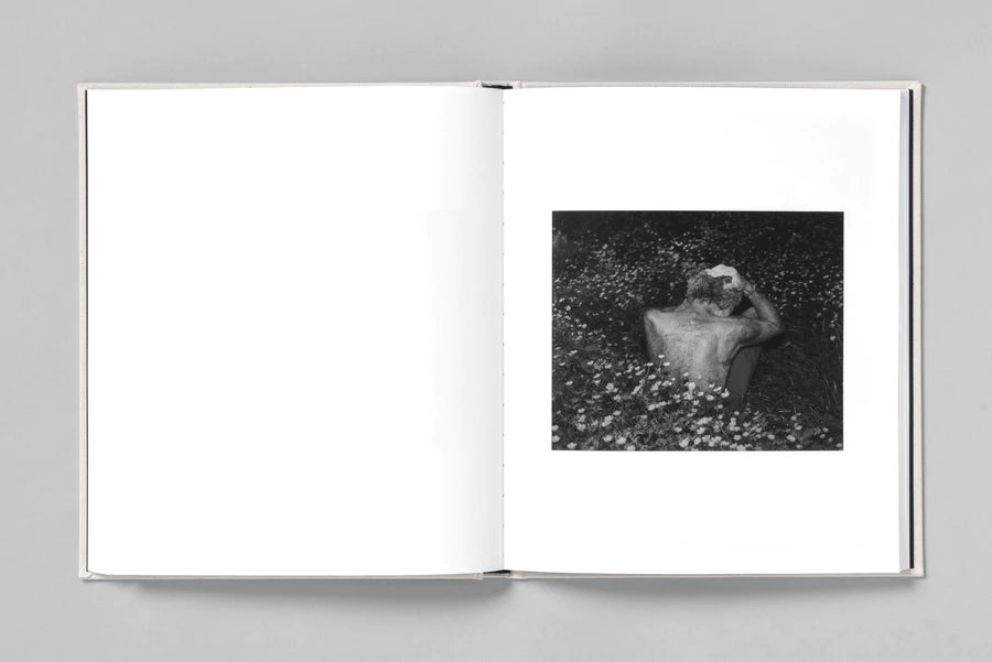 AT NIGHT GARDENS GROW - Paul Guilmoth