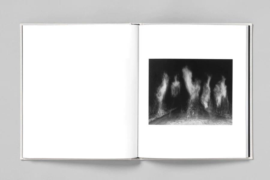 AT NIGHT GARDENS GROW - Paul Guilmoth