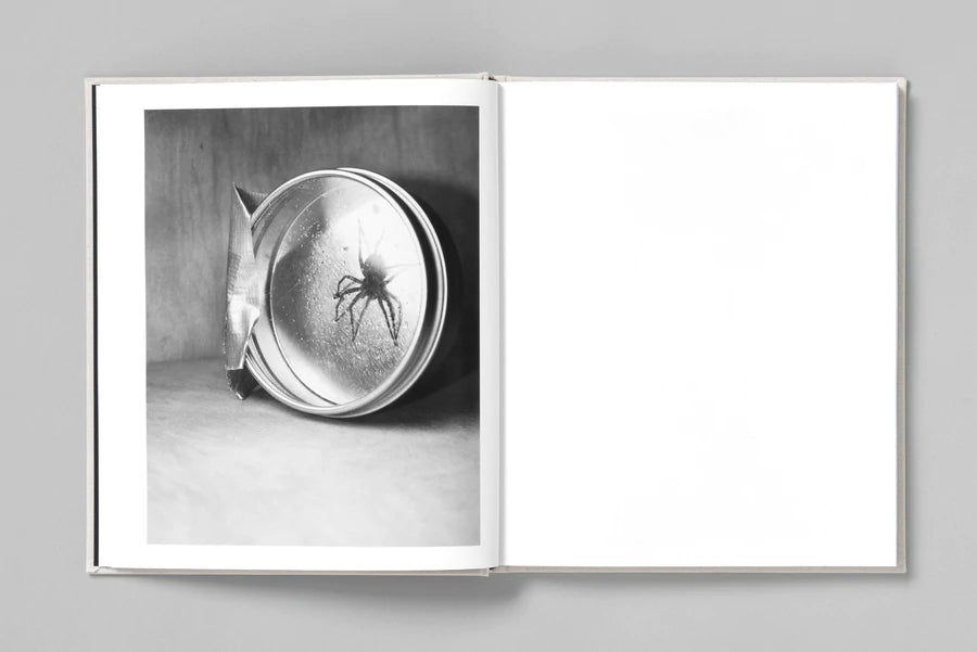 AT NIGHT GARDENS GROW - Paul Guilmoth
