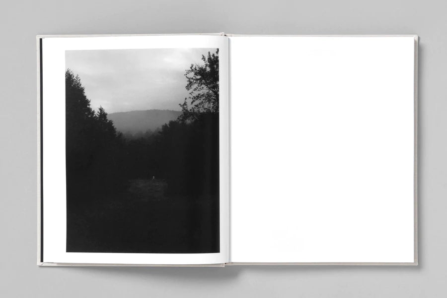 AT NIGHT GARDENS GROW - Paul Guilmoth