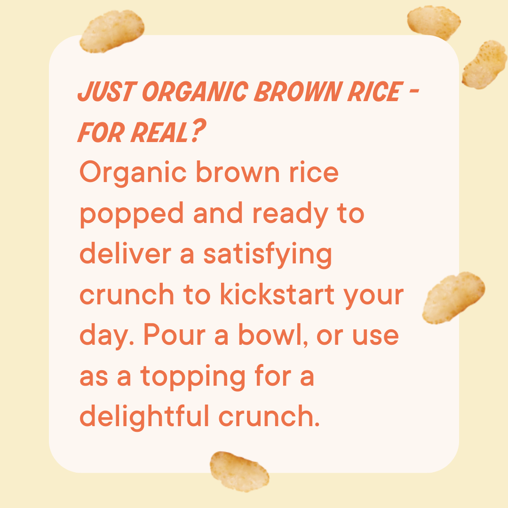 Organic Rice Crisps