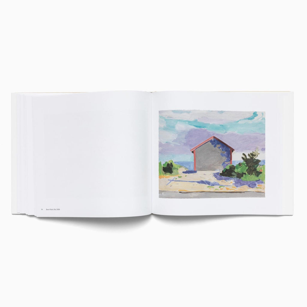 Maureen Gallace: Paintings on Paper