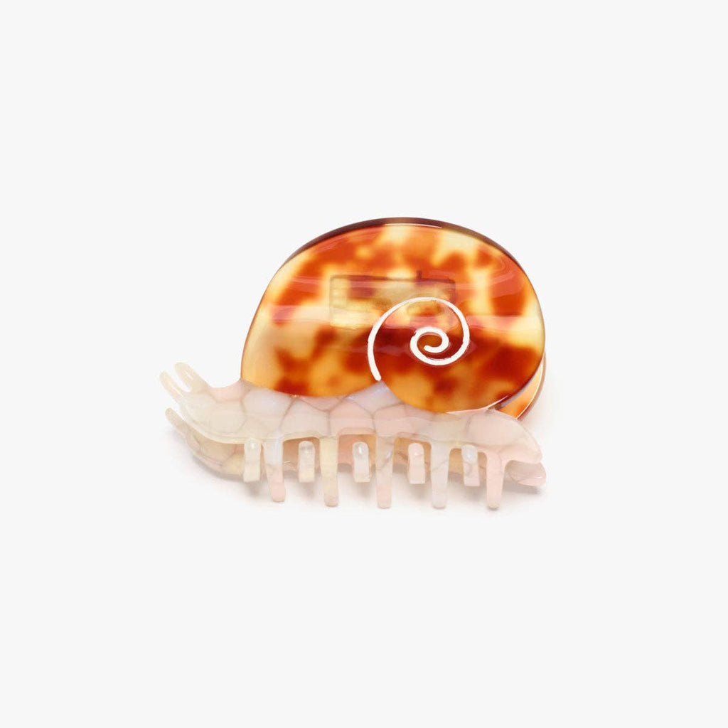 Sea Snail Women's Tortoise Shell Acetate Hair Claw Clip