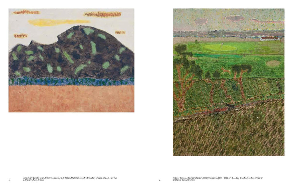 Two artistic representations of landscapes side by side, one with a mountain and the other with a field.