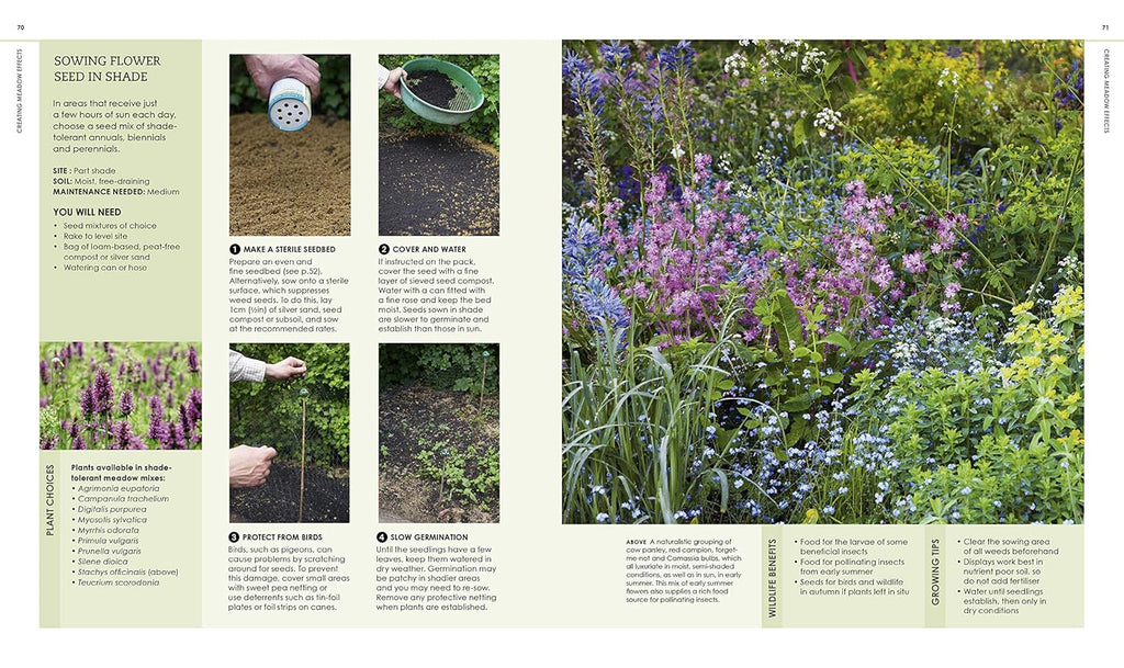 New Wild Garden: Natural-style planting and practicalities